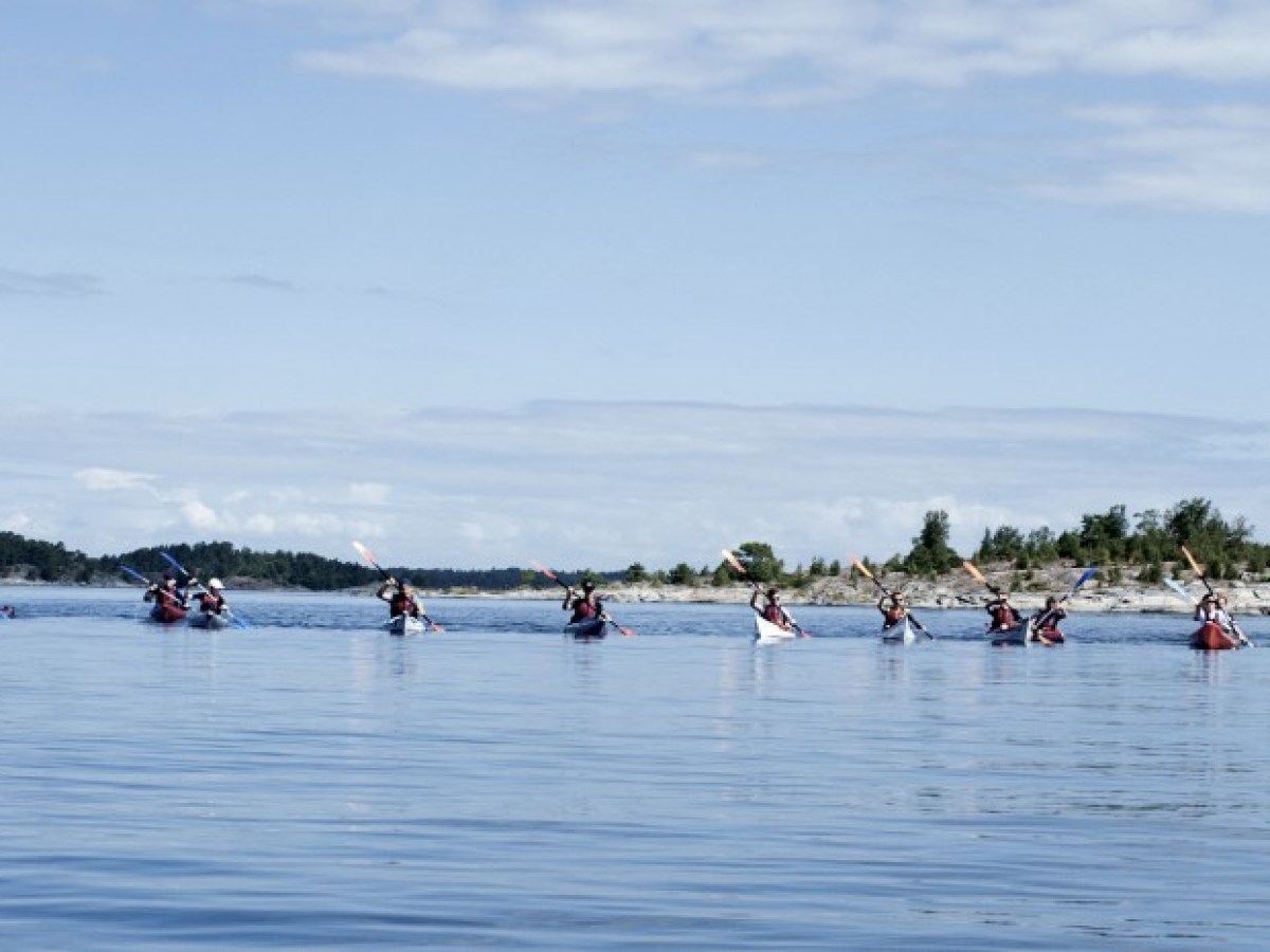 a group of people swimming in a body of water